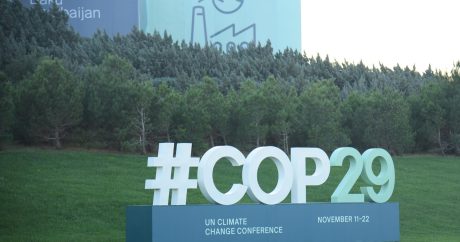 В рамках COP29 в Баку состоится встреча лидеров устойчивого развития