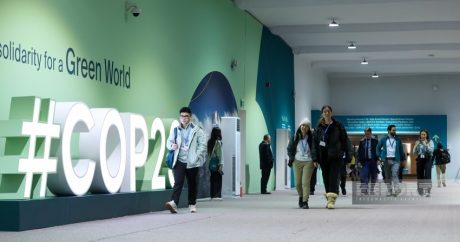 МИД: Азербайджан с успехом провел COP29 в сложных геополитических условиях