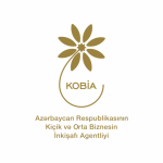 Глава KOBİA: ESG-принципы важны для субъектов бизнеса