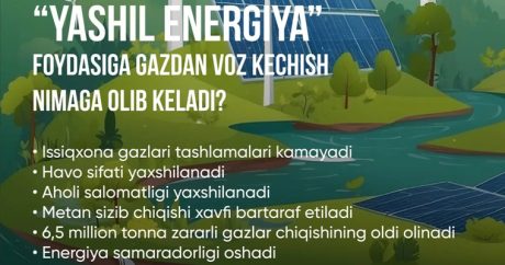 К чему приведет отказ от газа в пользу «зеленой энергетики»?