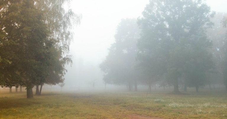 Завтра в некоторых пригородных территориях ожидается изморось