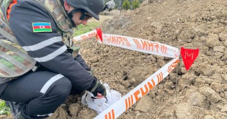 В Мехдиабаде обнаружены боеприпасы