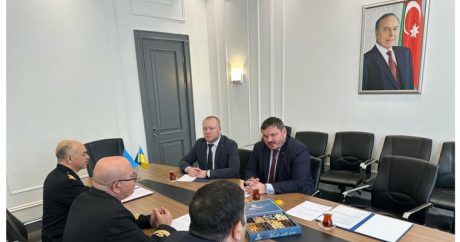 Азербайджан и Украина обсудили сотрудничество в сфере образования