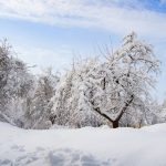 Завтра в Азербайджане ожидается снег