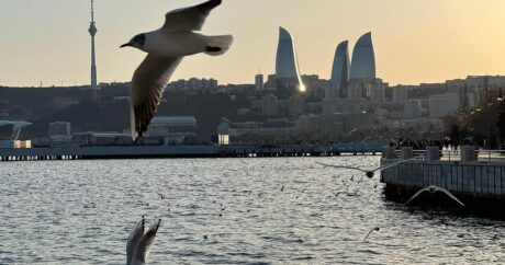 В Каспийском море произошло землетрясение